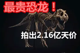 2.16亿元！史上最贵恐龙化石横空出世图片