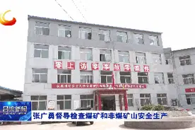 ​张广勇督导检查煤矿和非煤矿山安全生产图片