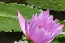 新高一的父母，怎么做才能让孩子在高中越学越有劲？图片