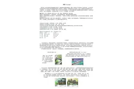 桥梁（Bridge）图片