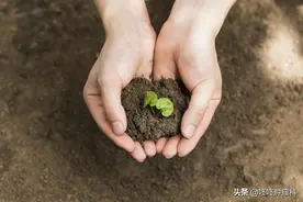 全国首处方开出，倍利妥为急性淋巴细胞白血病患者带来新治疗选择图片