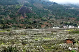 五岭山脉广东粤北山区韶关乐昌九峰--岭南花世界图片