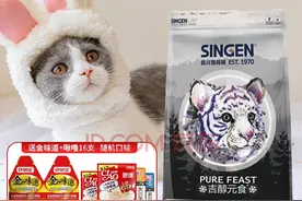 养猫日常｜猫咪日常营养补充图片