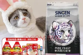 养猫日常｜猫咪日常营养补充图片