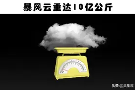 水獭身体自带口袋？你可能不会在教科书上发现的7个奇妙冷知识图片