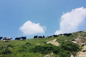 东灵山：北京第一高峰，经历烈日的煎熬，才能体验山风的清爽图片