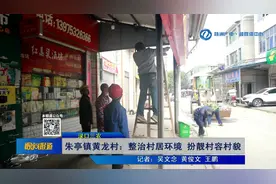渌口三农 朱亭镇黄龙村：整治村居环境 扮靓村容村貌图片