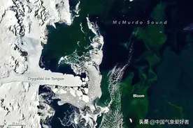 怪事？美国NASA卫星紧急对准：冰封南极海湾变绿了！这是好是坏？图片