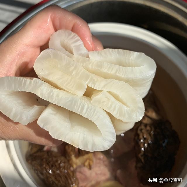 坐月可吃花胶吗 2026年坐月子能吃花胶吗母乳喂养