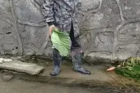 搞笑GIF：这反应是我见过最奇怪的，双腿颤抖成这样图片