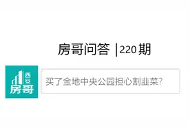 买金地中央公园担心割韭菜？一室一厅103平｜房哥问答220期图片