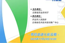 直播预告丨没有大动作，哪敢惊动您～本月24日，聚焦开远！图片