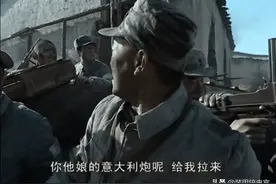 《亮剑》的意大利炮竟是法国货？真实的意大利炮，这才小菜一碟图片
