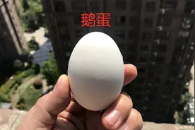 鸡蛋、鸭蛋和鹅蛋的营养有什么区别，哪个更好吃？涨知识了图片