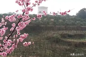 婆媳之间相处生活中，强势的婆婆最怕的是什么，应该怎么办呢？图片