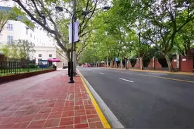 徐汇这5条上海市精品示范路有在你家附近的吗？ | 我为群众办实事图片