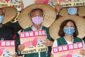四大“公投”中绿营强攻反莱猪，台湾学者：因涉民进党对美承诺图片