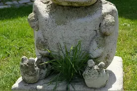 据说那里脱毛，可以更多X刺激？图片