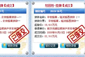 碧桂园在新沂又一个项目亮相图片