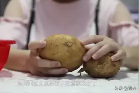 误食发芽土豆容易中毒？一招有效预防土豆发芽图片