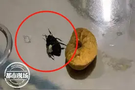南昌：小伙子睡觉时，一只活蟑螂爬进了他的身体图片