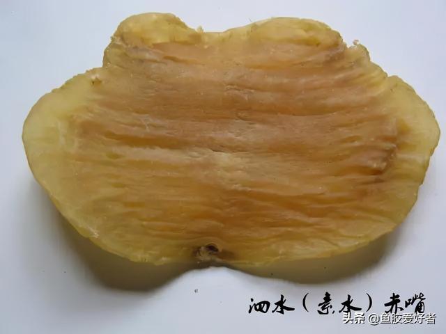 花胶赤嘴 2026年花胶赤嘴公、母