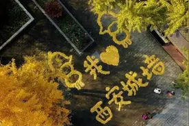 西安，黄透了图片