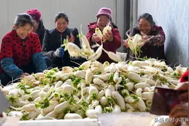 农村创业干啥最赚钱？这12个农村致富好项目，你值得一试图片