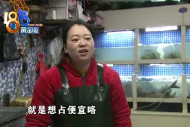 怀疑活鱼被掉包，女摊主剖鱼“断案”图片