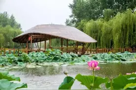 这10条省内自驾路线，人少景美，藏着很多长春人不知的好风光！图片
