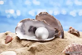 要想育珠蚌产出奇珍至宝，珍珠育成过程是关键，蚌农是如何做到的图片