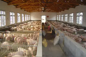 发展设施农业不用担心了，6类建设明确为农用地，不用层层审批图片