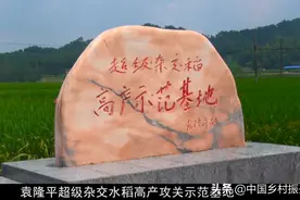 袁隆平“超级杂交稻高产攻关科研基地”——湖南省隆回县羊古坳镇雷峰村图片