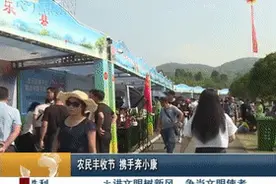 厉害了 | 桂林这个活动直播带货，单日销售金额高达71万元图片
