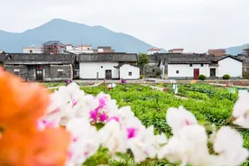广东西部三个冷门景点，全部位于新兴县，每个都美丽有底蕴图片