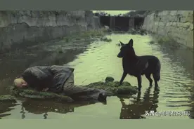 外星人为何不侵略人类？答案就在书名里图片