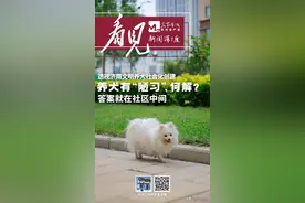 养犬有“陋习”,何解？答案就在社区中间图片