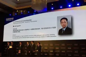 我国为何留不住清华人才？许晨阳3句话揭示真相，施一公却这样说图片
