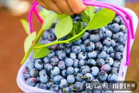 满口爆浆！浙江本地“可爱小浆果”熟啦，价格便宜得想不到图片