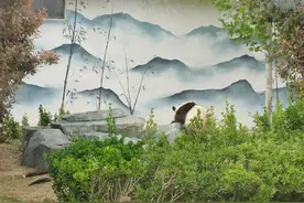 周边游记-宿州野生动物园一日游图片