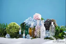 高能！拯救万千“打工人”得掉发危机图片