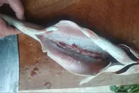 春天，海鲜市场这4种常见海鱼，至今还无法养殖，遇到别错过尝鲜图片