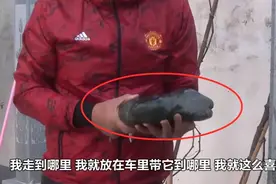 东北大叔野外捡到一块“乌龟石”，专家称是顶级宝物，估1.2亿元图片
