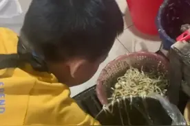 抱怨读书苦，妈妈罚孩子泔水桶捡面条！网友为此吵翻了图片