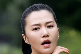 谭维维身价过亿，却偏爱改装廉价车，个性音乐人就是够独特图片