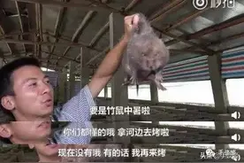 时隔9个月，因疫情消失的“竹鼠”，再次出现在华农兄弟的视频中图片