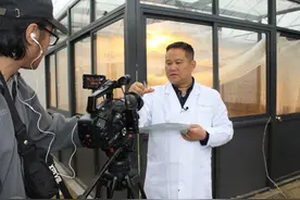 化腐朽为神奇，环保黑水虻吃掉垃圾变财富成就大产业图片