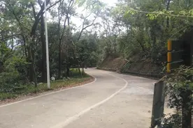东莞凤岗人民公园的一次实拍，你们也过来看看？图片