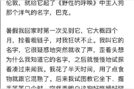 被淘汰警犬的结局是怎样的？图片