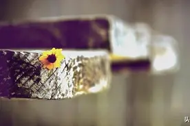 大多数人的苦恼，是从50岁以后开始的图片